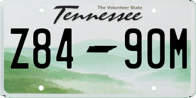 TN license plate Z8490M