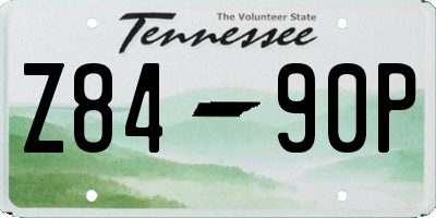 TN license plate Z8490P