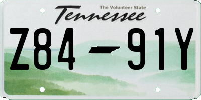 TN license plate Z8491Y