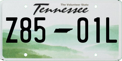 TN license plate Z8501L