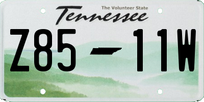 TN license plate Z8511W