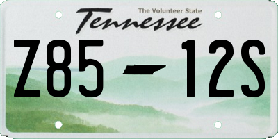 TN license plate Z8512S