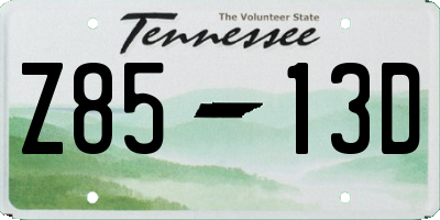 TN license plate Z8513D