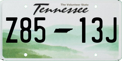 TN license plate Z8513J