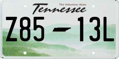 TN license plate Z8513L