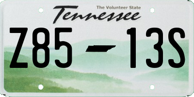 TN license plate Z8513S