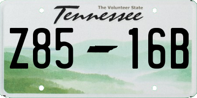 TN license plate Z8516B