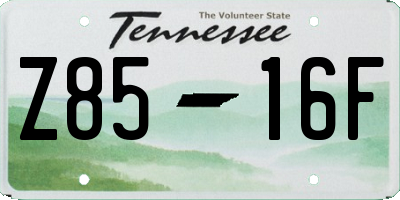 TN license plate Z8516F