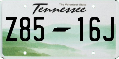 TN license plate Z8516J