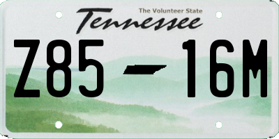 TN license plate Z8516M