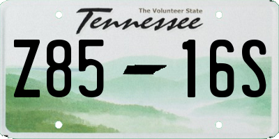 TN license plate Z8516S