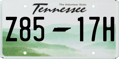 TN license plate Z8517H