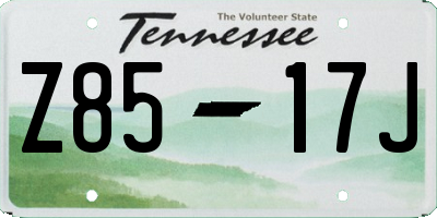 TN license plate Z8517J