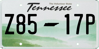 TN license plate Z8517P