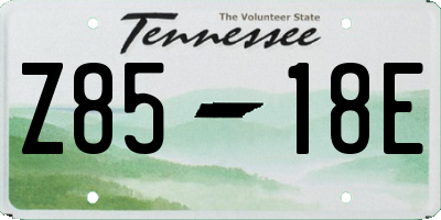 TN license plate Z8518E