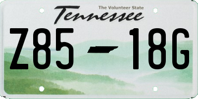 TN license plate Z8518G