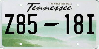 TN license plate Z8518I