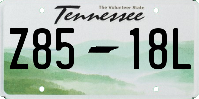 TN license plate Z8518L