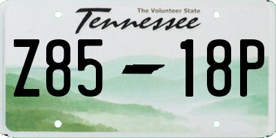 TN license plate Z8518P