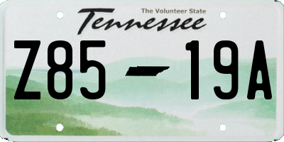 TN license plate Z8519A