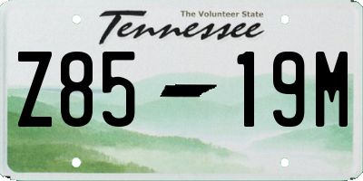 TN license plate Z8519M