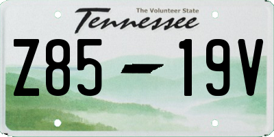 TN license plate Z8519V