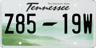 TN license plate Z8519W