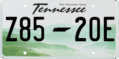 TN license plate Z8520E