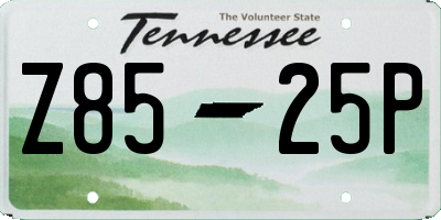 TN license plate Z8525P