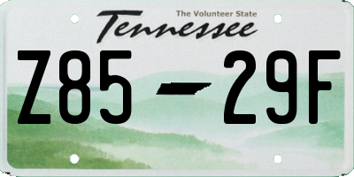 TN license plate Z8529F