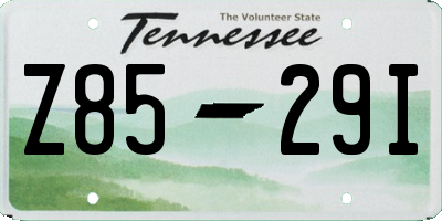 TN license plate Z8529I