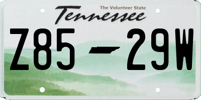 TN license plate Z8529W