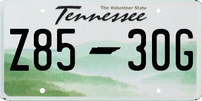 TN license plate Z8530G