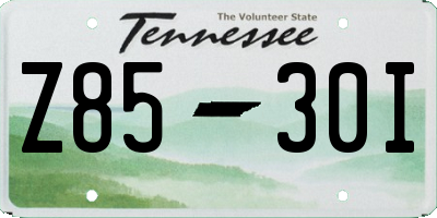 TN license plate Z8530I