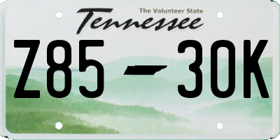 TN license plate Z8530K