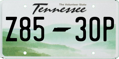 TN license plate Z8530P