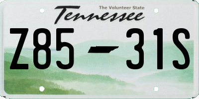 TN license plate Z8531S