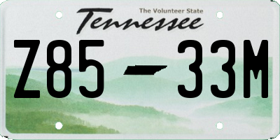 TN license plate Z8533M