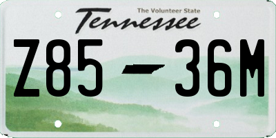 TN license plate Z8536M