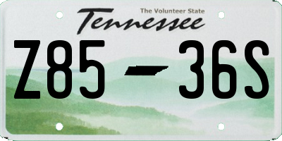 TN license plate Z8536S