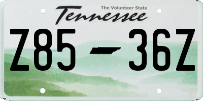 TN license plate Z8536Z