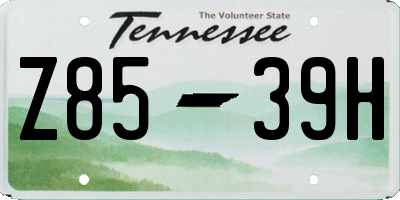 TN license plate Z8539H