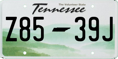 TN license plate Z8539J