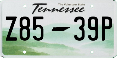 TN license plate Z8539P