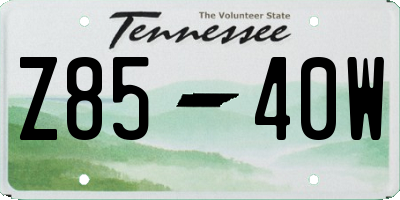 TN license plate Z8540W