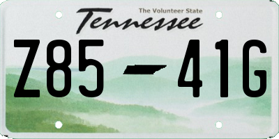 TN license plate Z8541G