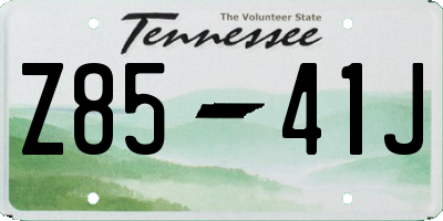 TN license plate Z8541J
