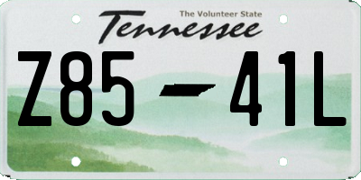 TN license plate Z8541L