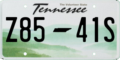 TN license plate Z8541S