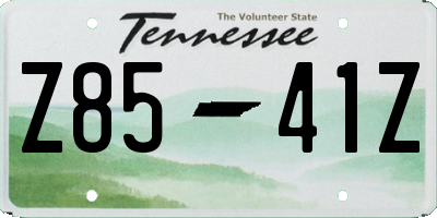 TN license plate Z8541Z